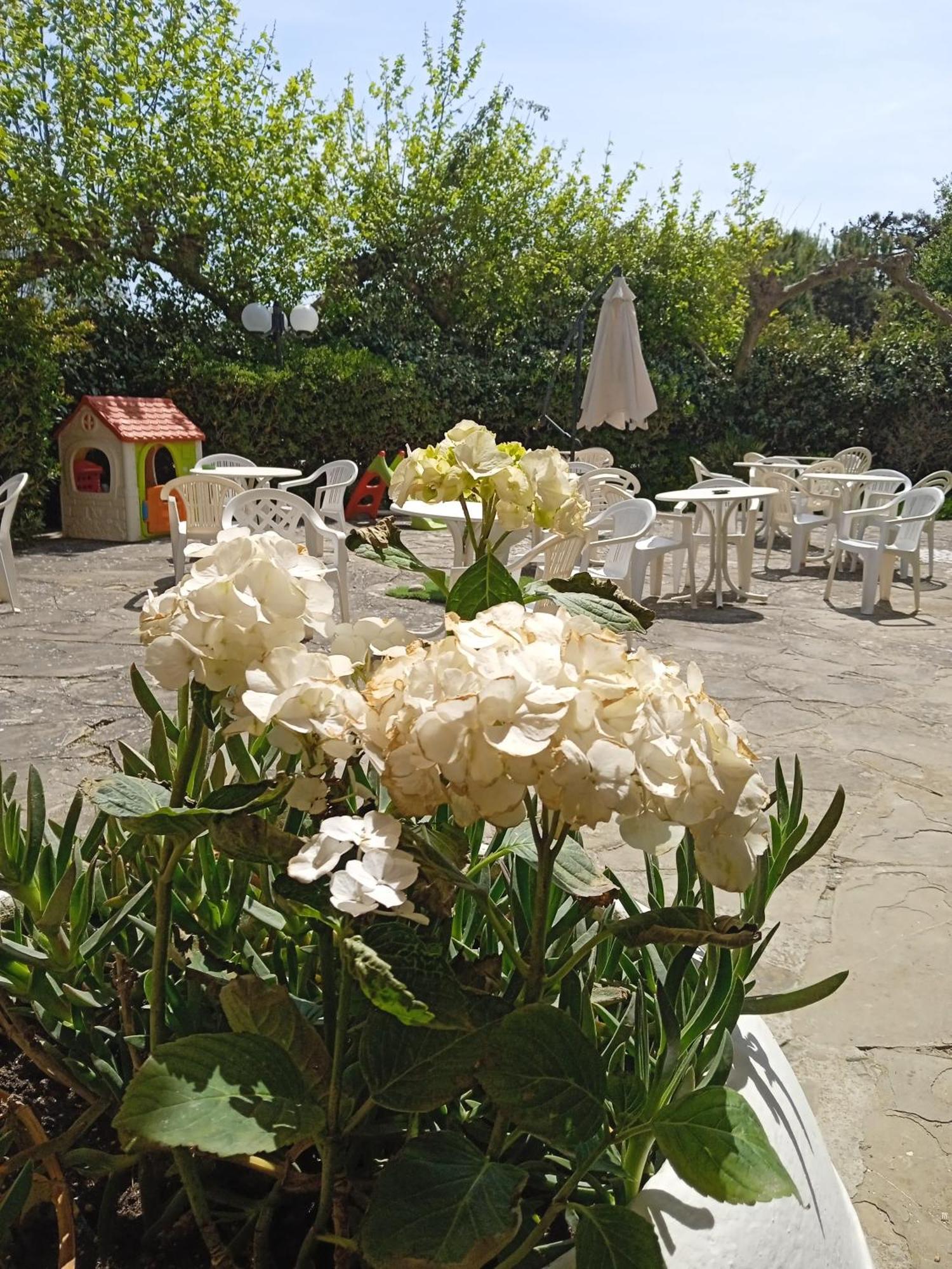 Hotel Buenos Aires Cervia Eksteriør bilde